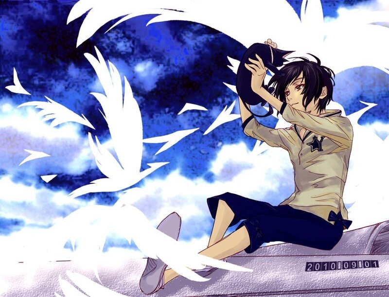 anime boy with cat and birds