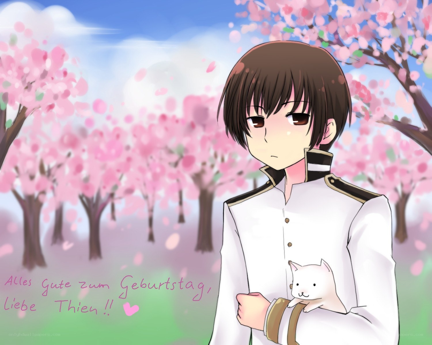 anime boy with cat in cherry blossoms