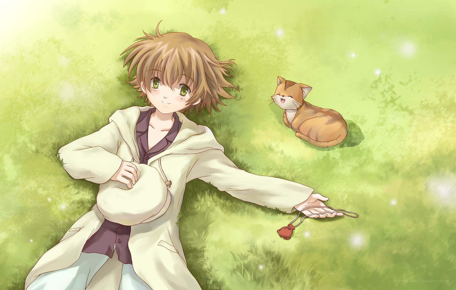 anime boy with cat in field