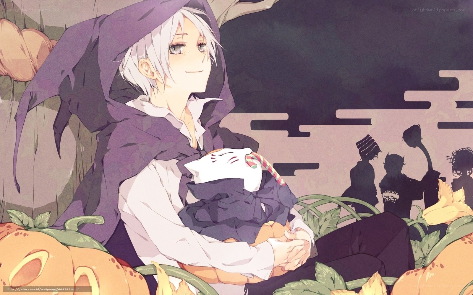 anime boy with cat mask