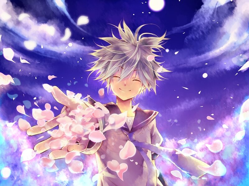 anime boy with cherry blossoms