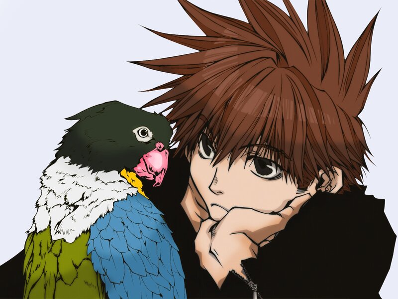 anime boy with parrot