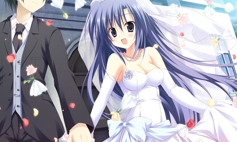 Anime Bride and Groom