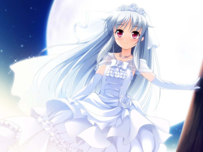 Anime Bride Girl