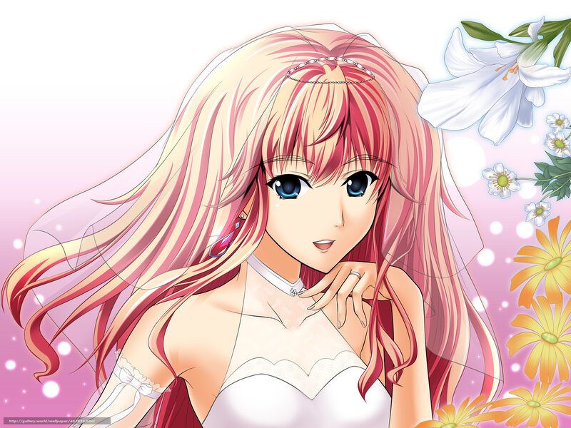 Anime Bride with Long Hair — Pink