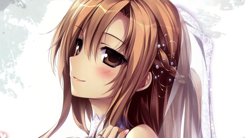 Anime Bride with Veil — Brown
