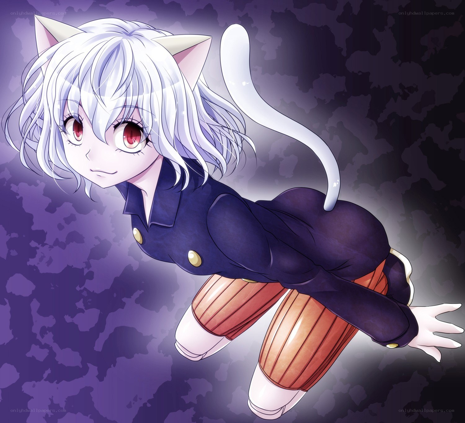 anime cat girl character