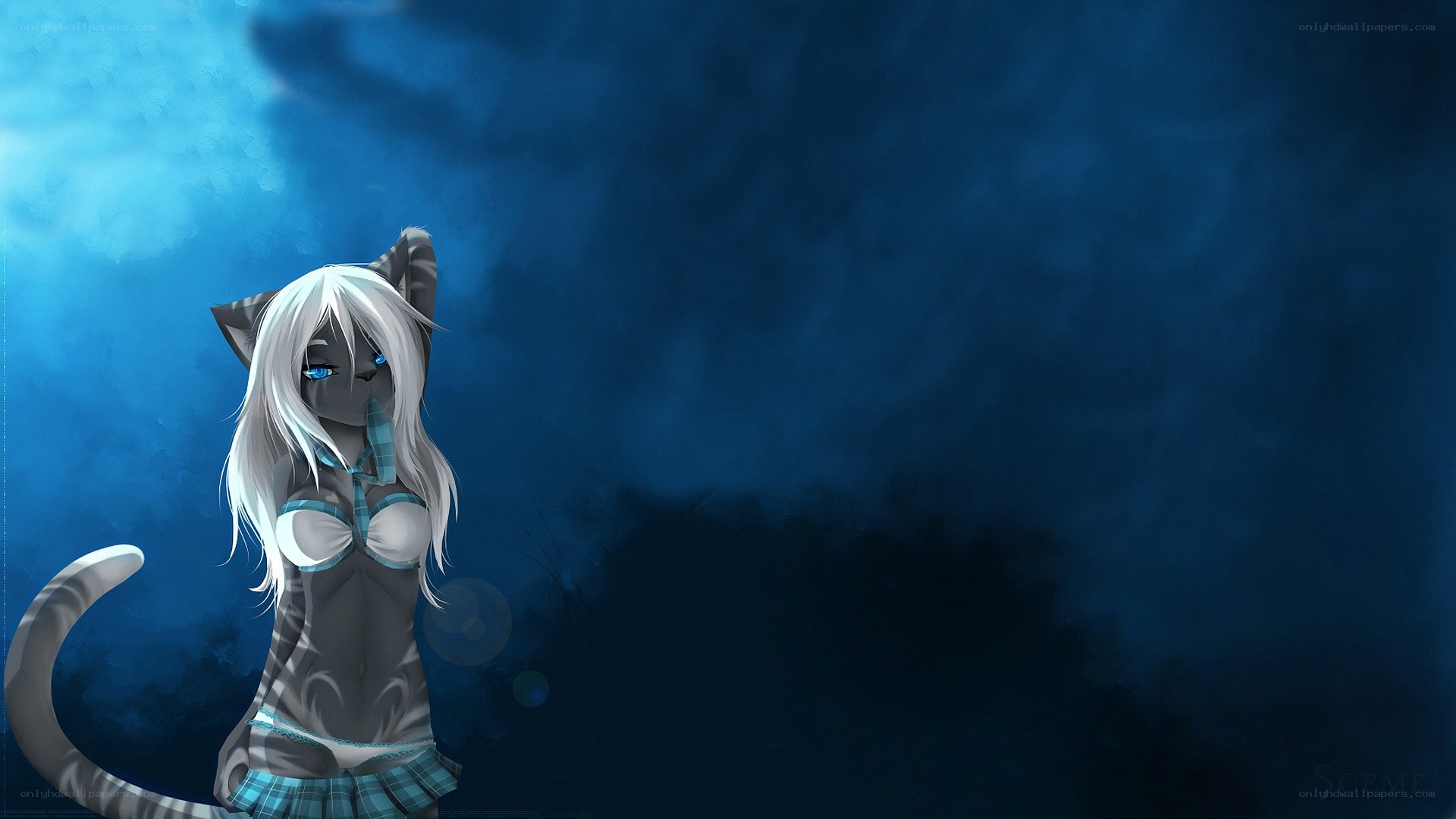 anime cat girl in blue