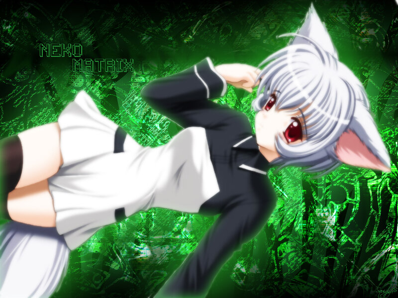 anime cat girl in digital world