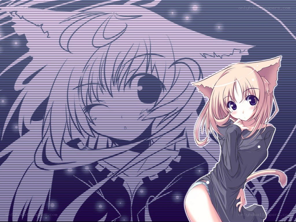anime cat girl with sketch background