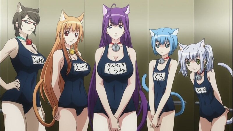anime cat girls in swimsuits