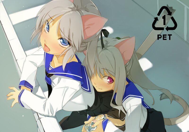 Anime cat girls with PET bottle