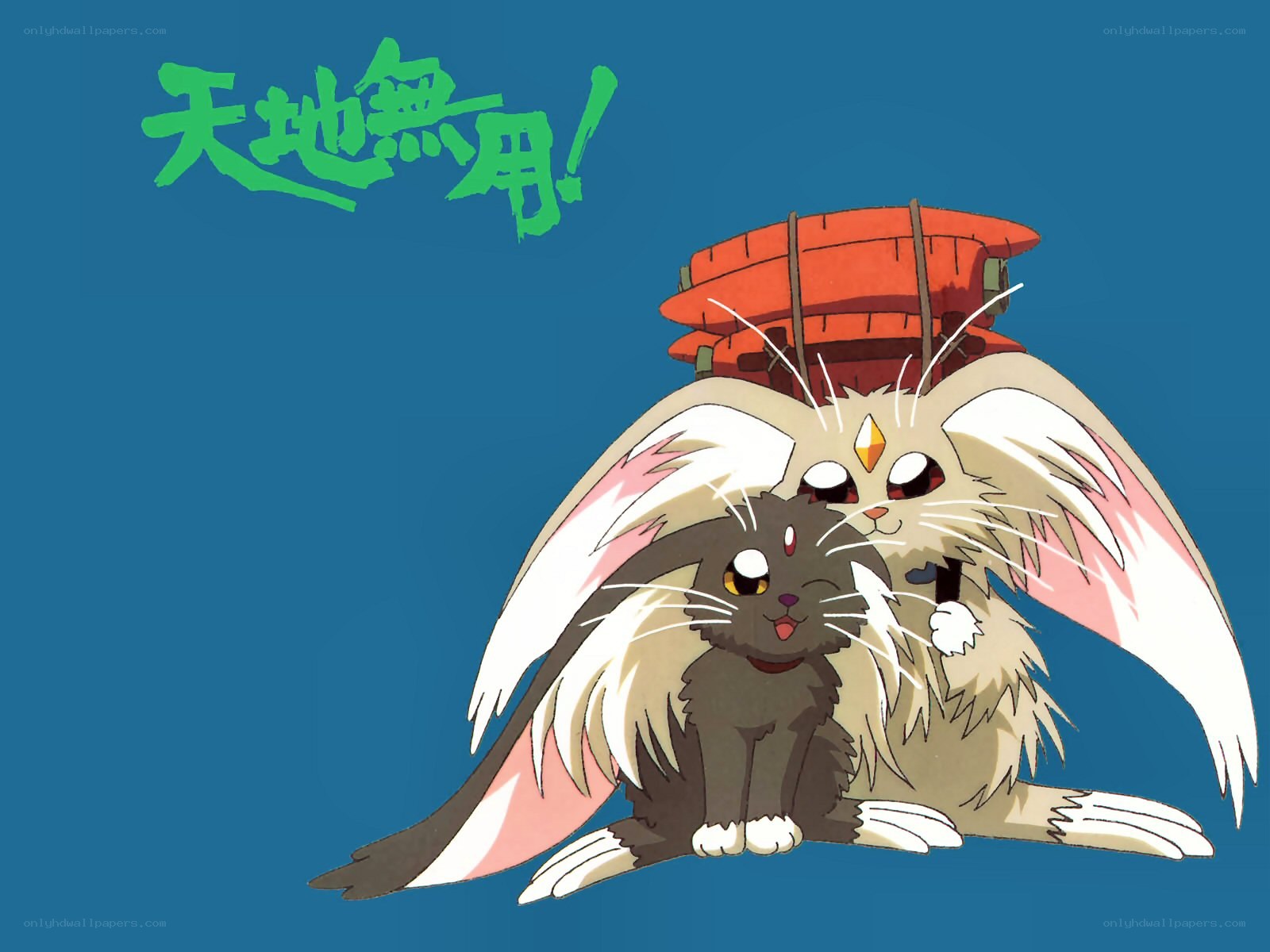 Anime cats with wings