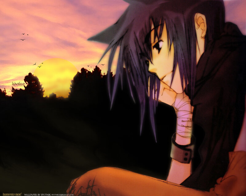 anime character at sunset