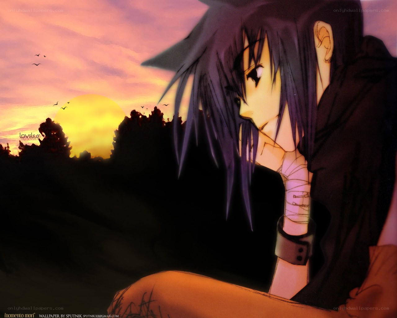 anime character at sunset