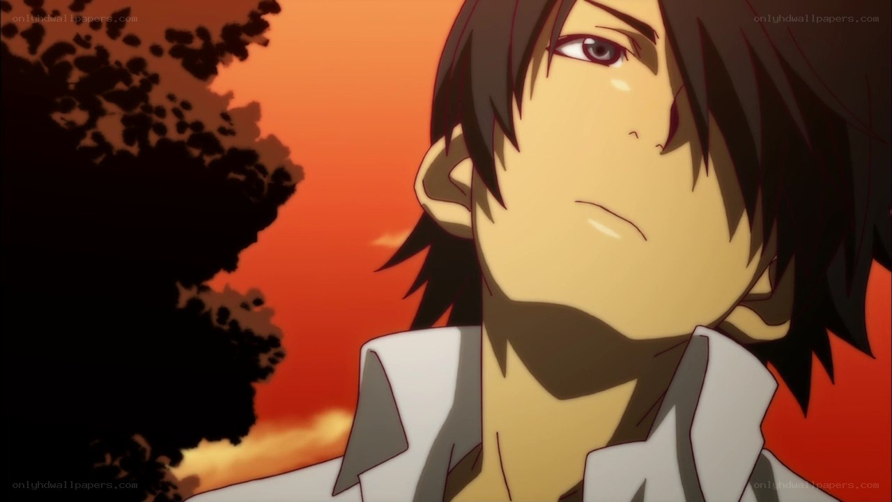 anime character at sunset