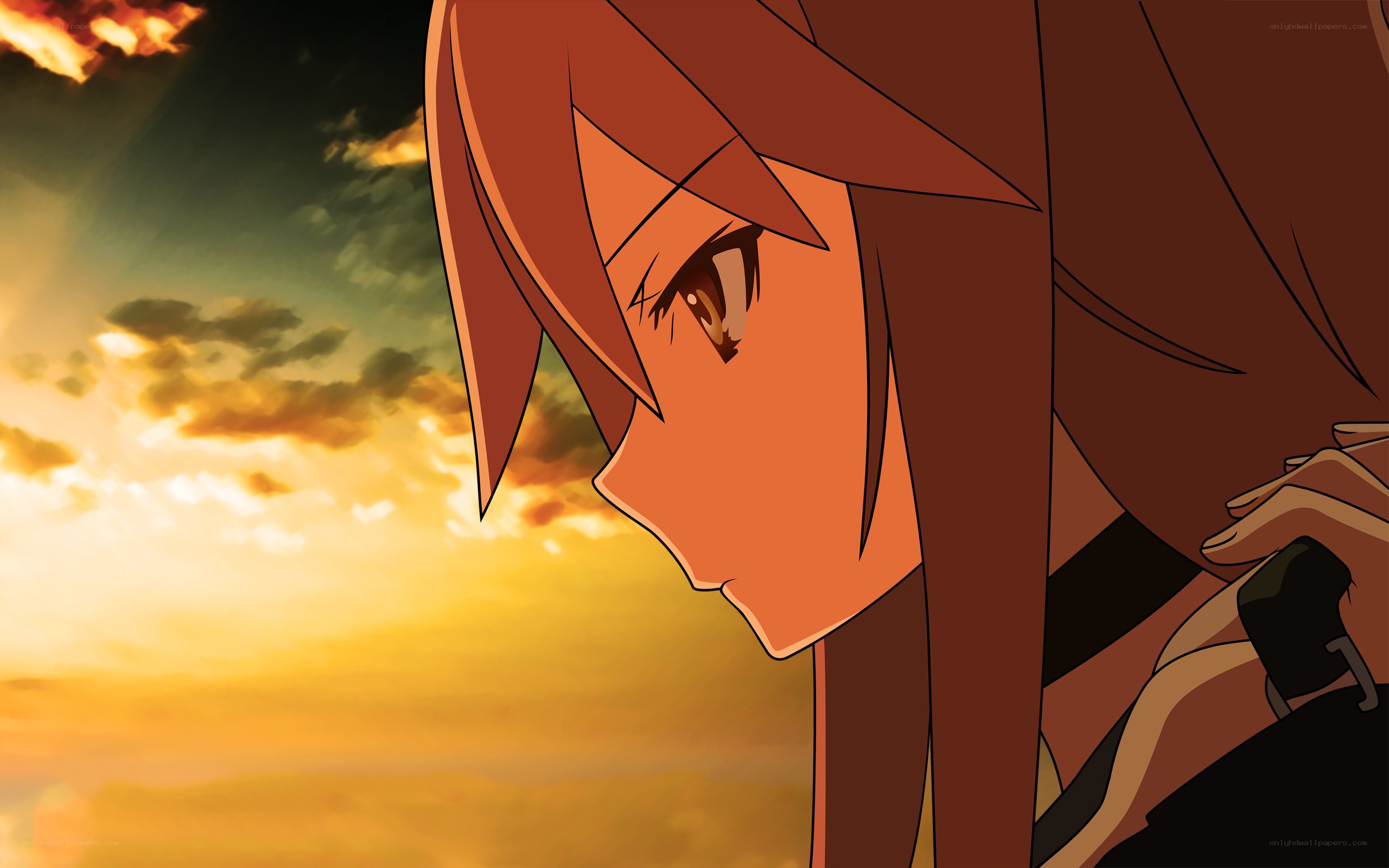 anime character at sunset