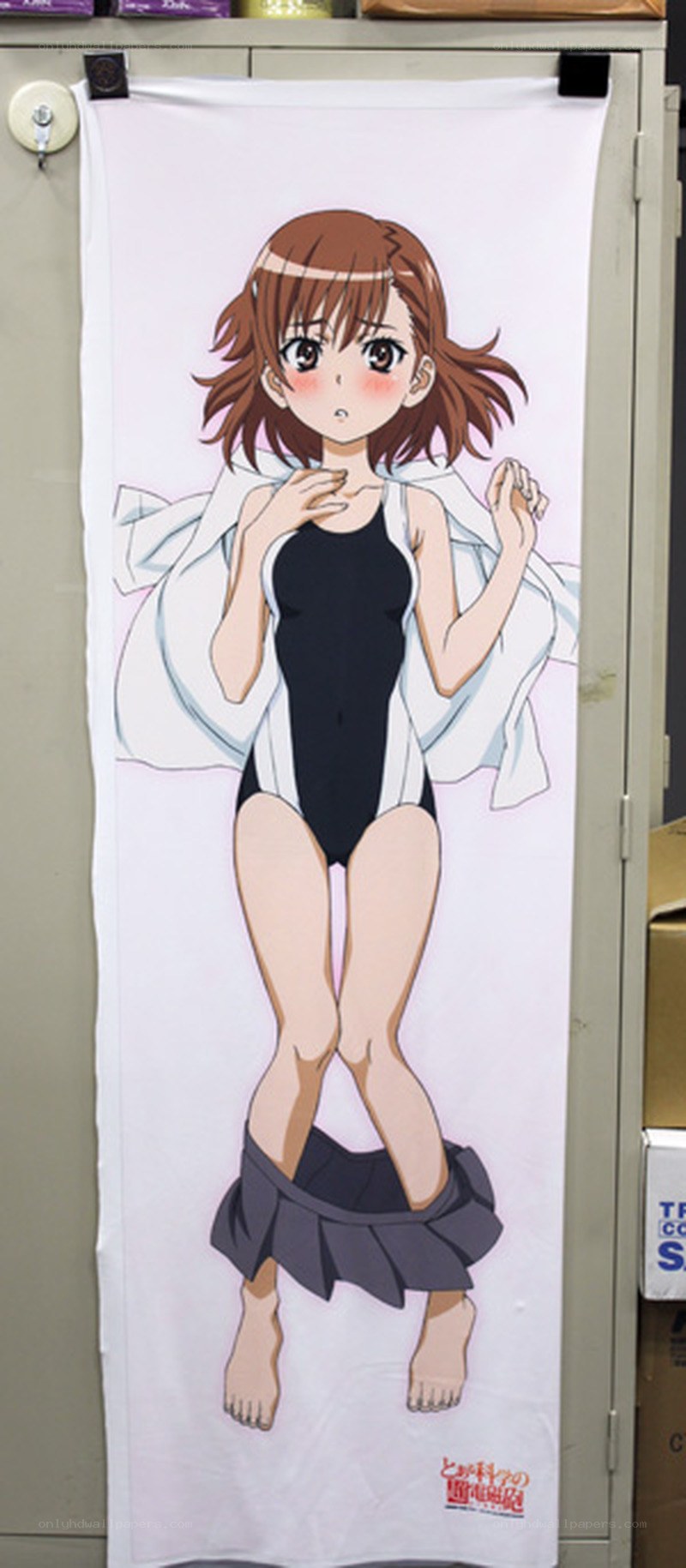 anime character body pillow