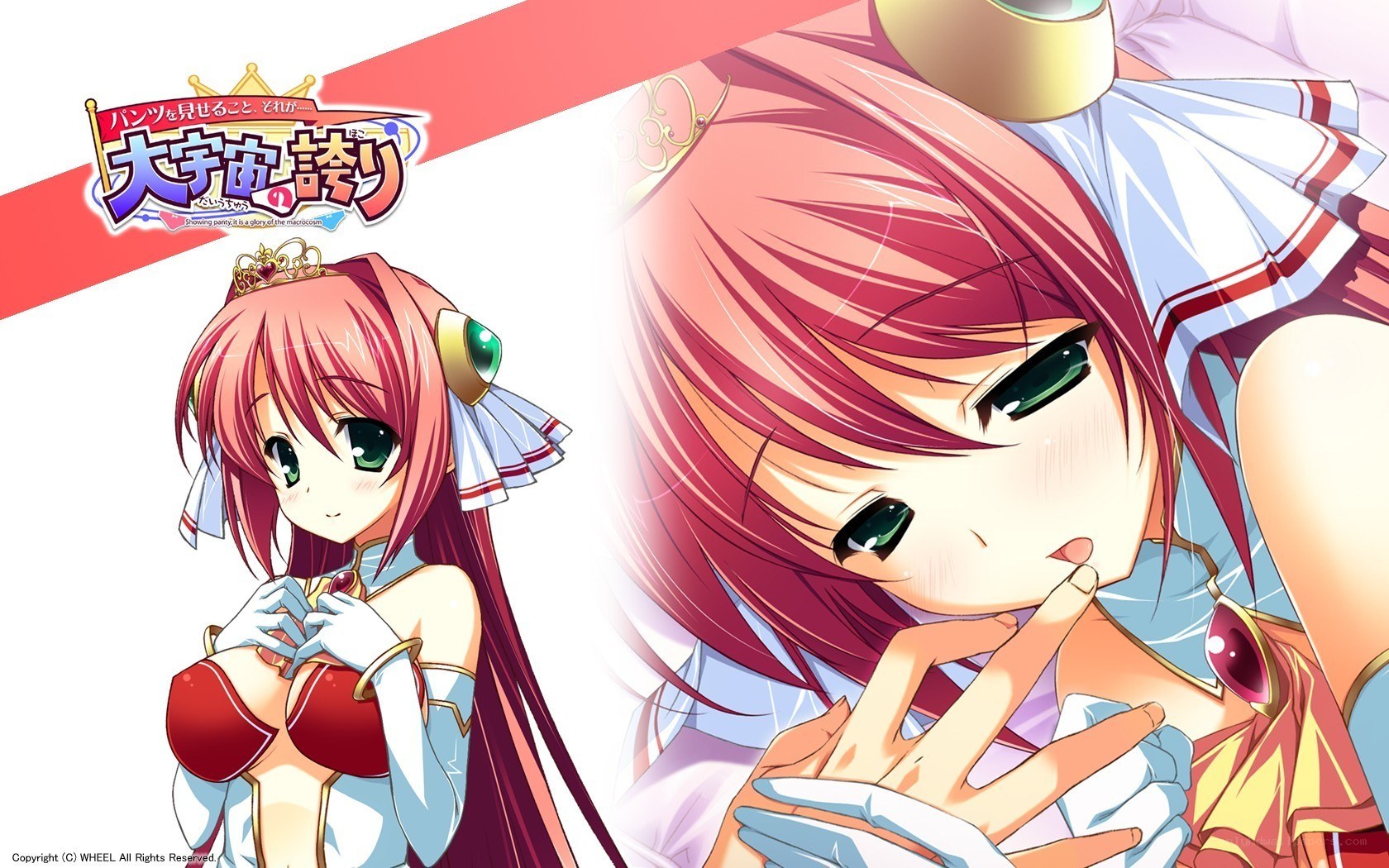 Anime character from a visual novel