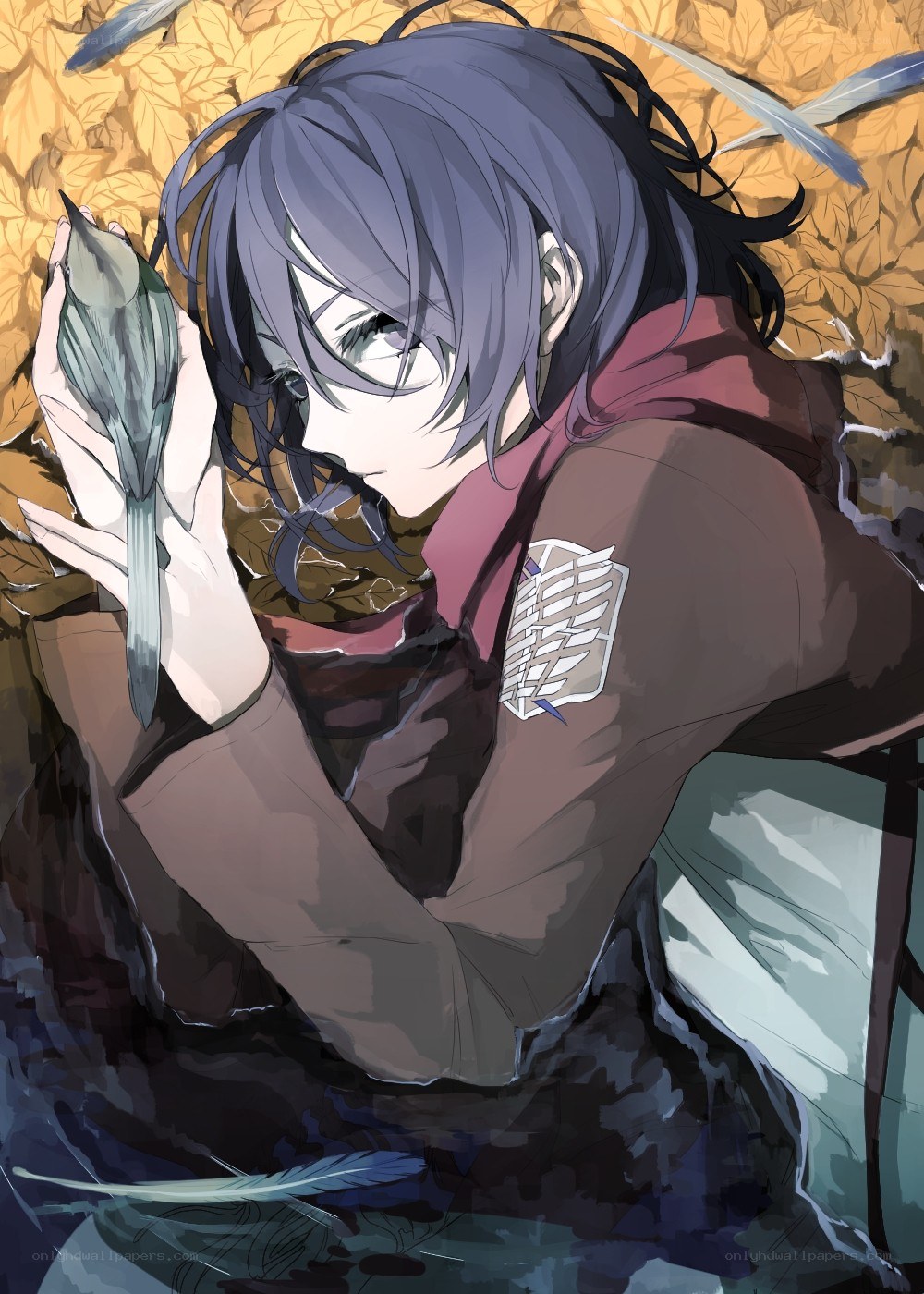 anime character holding a bird