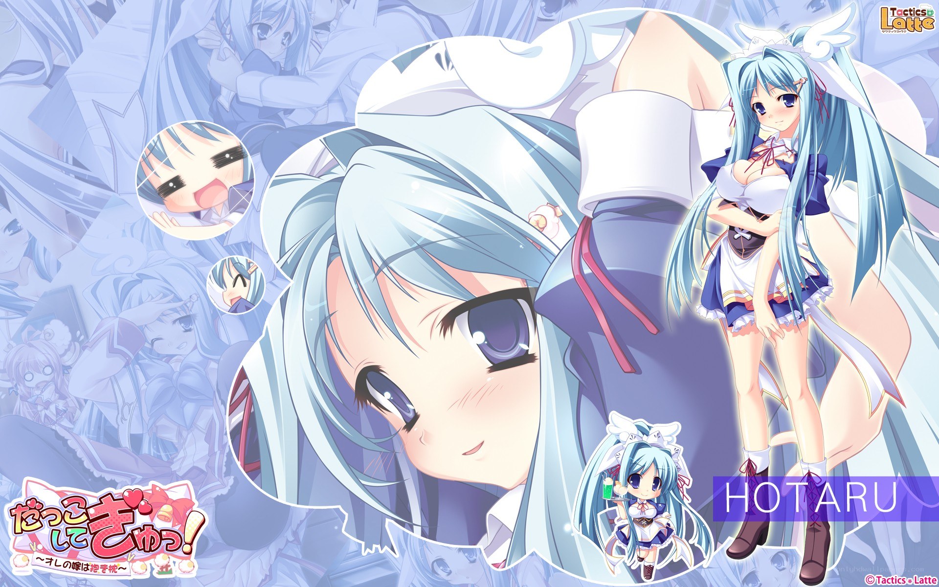 Anime character Hotaru collage
