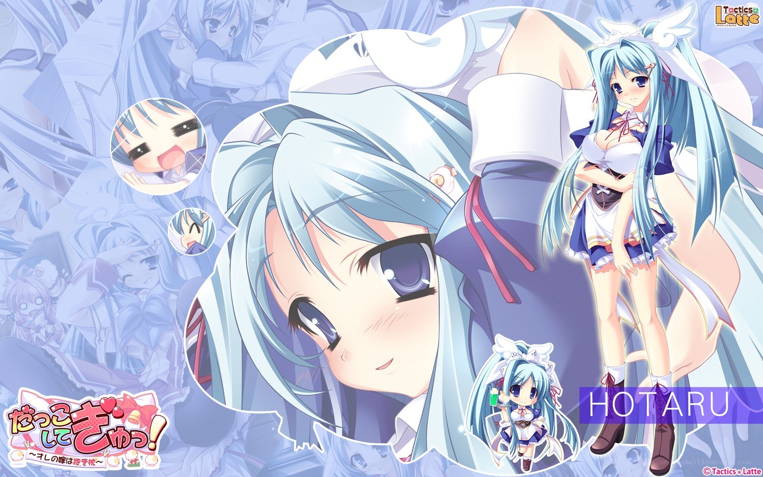 Anime character Hotaru collage