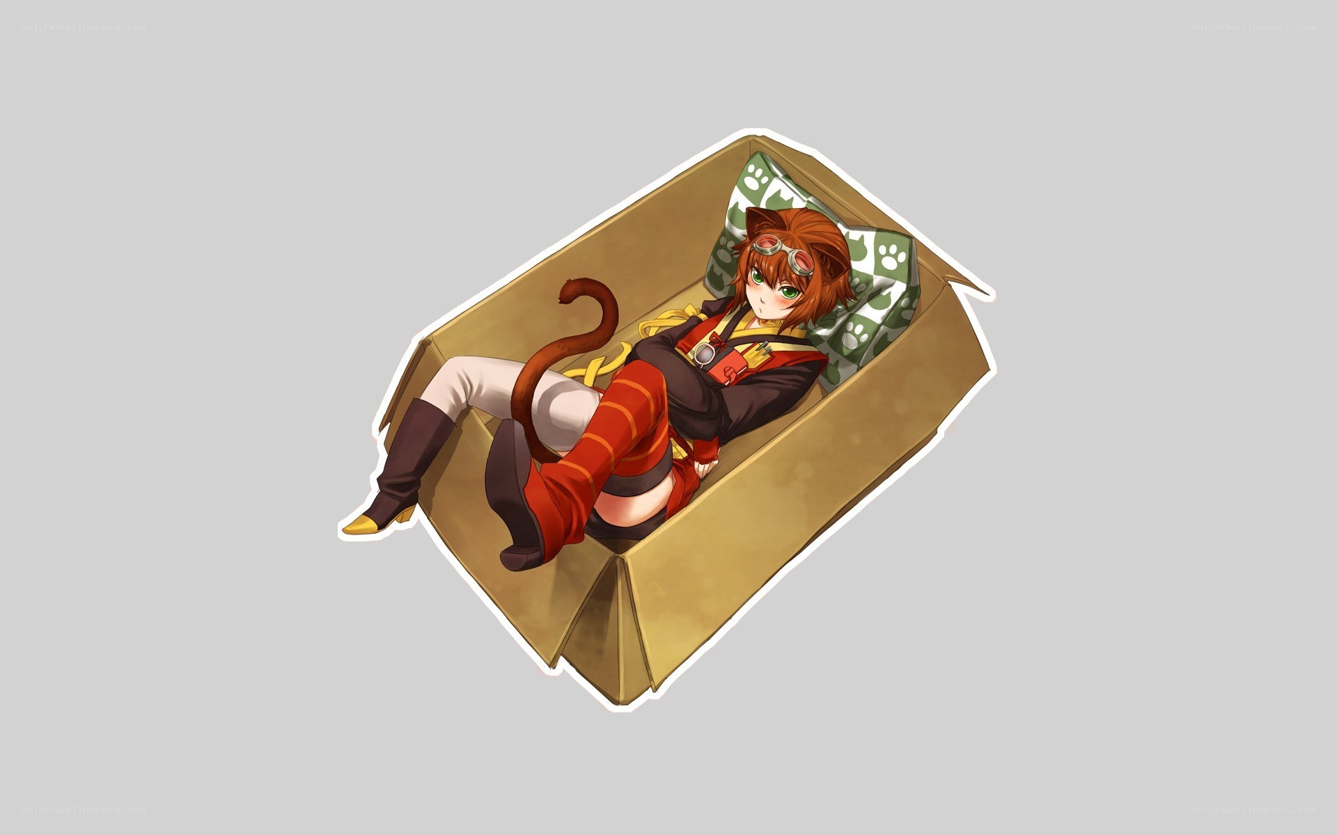 anime character in a box