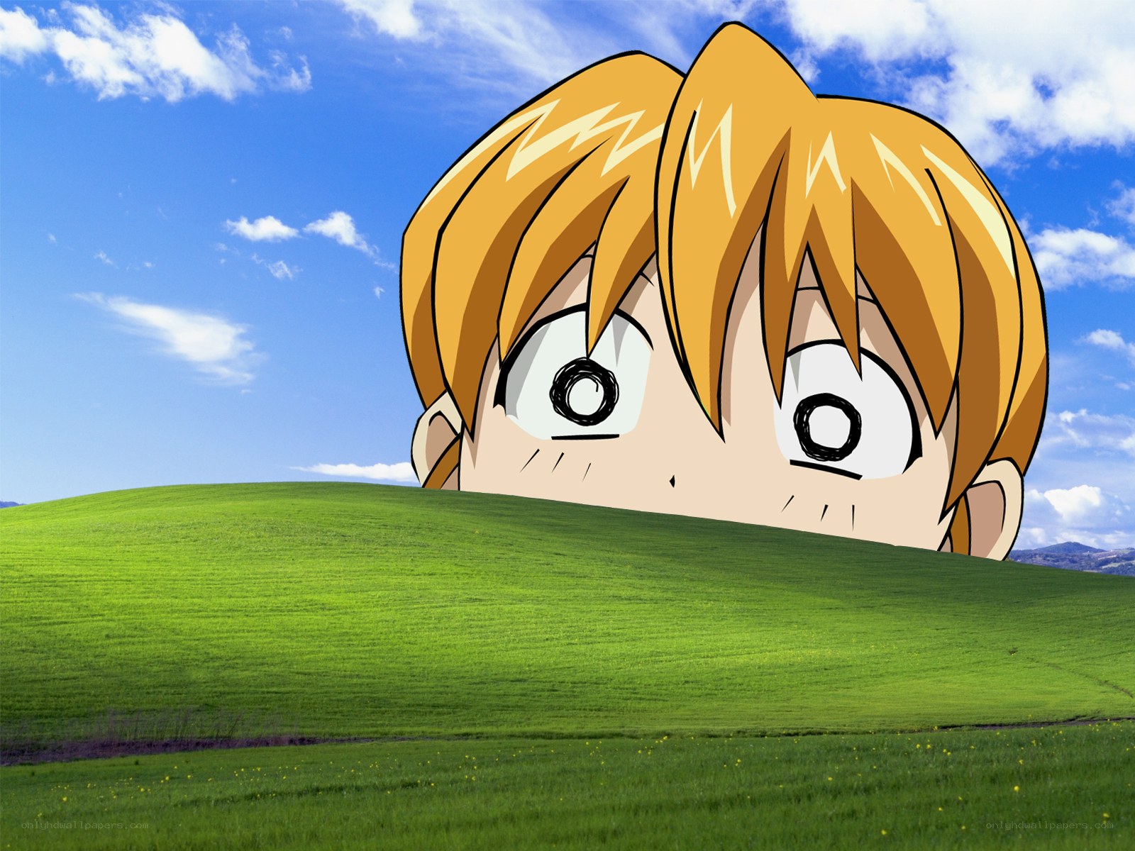anime character in a field