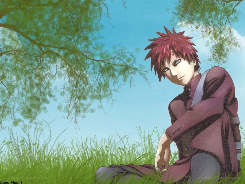 Anime character in a field