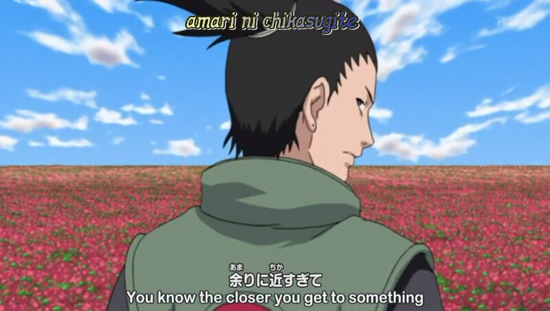 anime character in a flower field