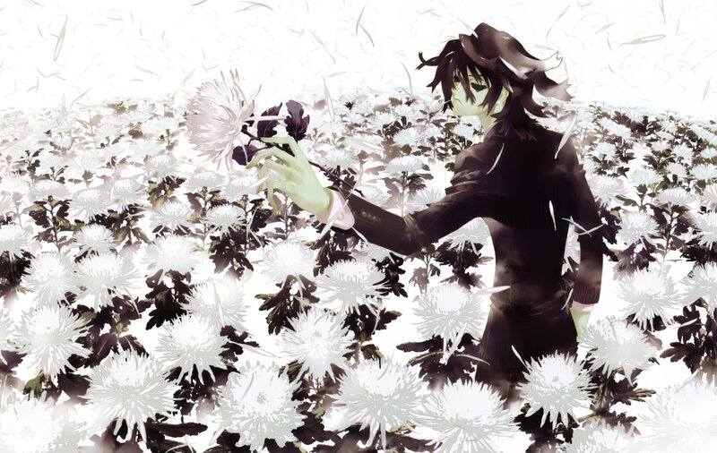 anime character in a flower field