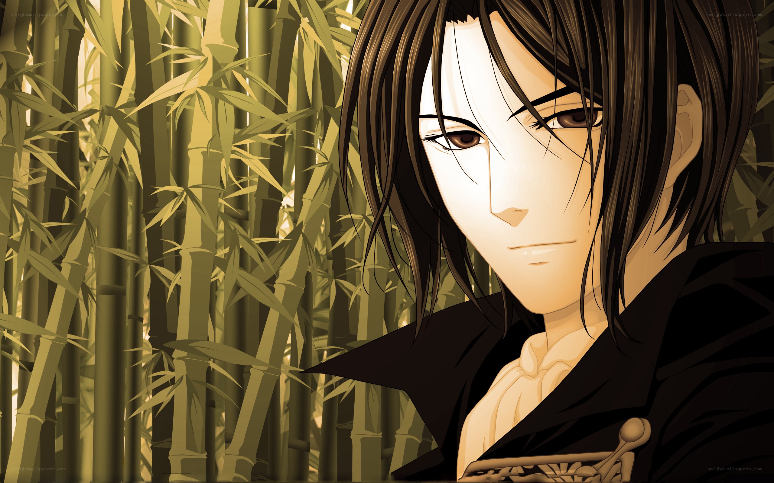 anime character in bamboo forest