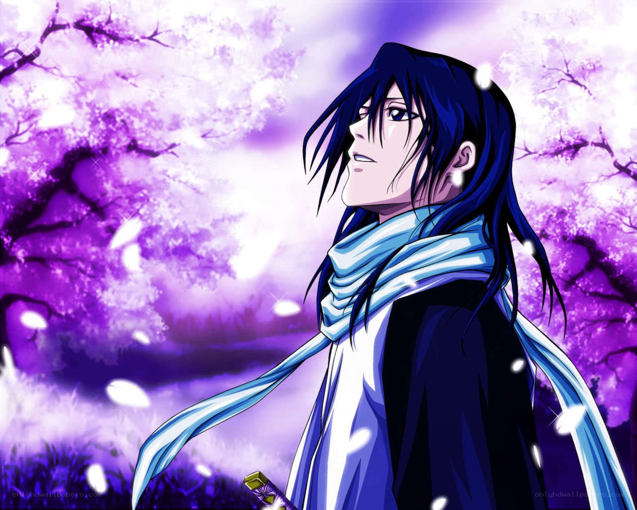 anime character in cherry blossom