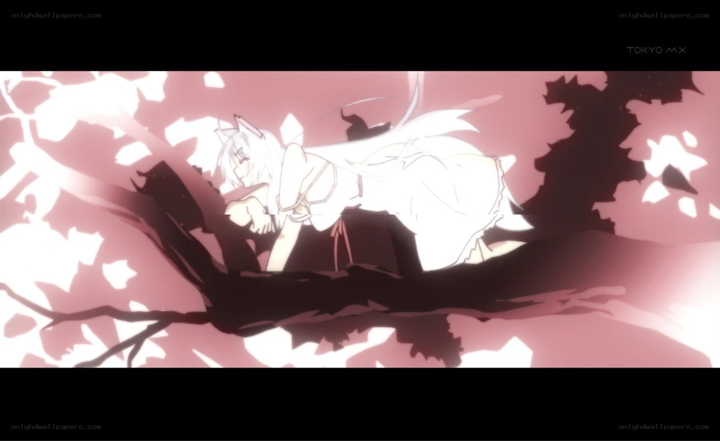 anime character in cherry blossoms