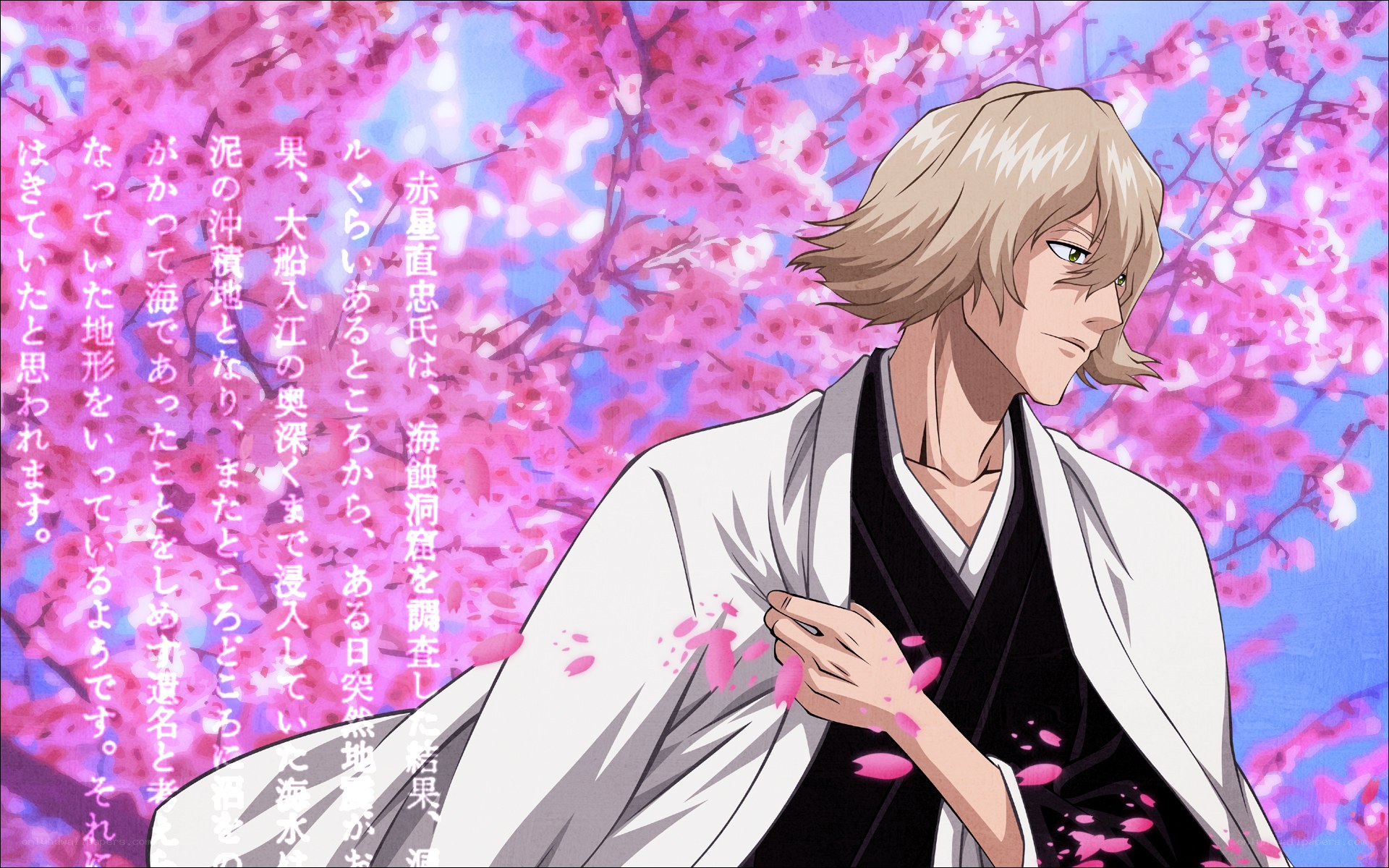 anime character in cherry blossoms
