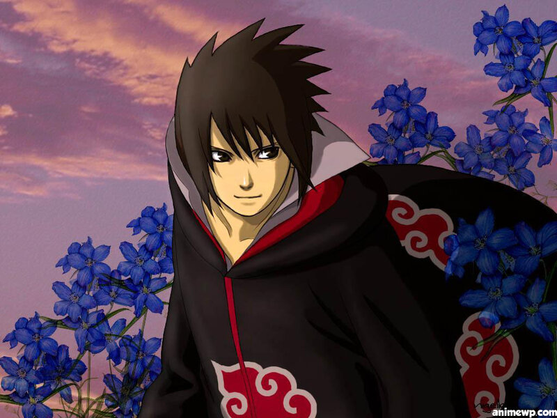 Anime Character in Cloak — Black, Dramatic, Sunset, Blue Flowers