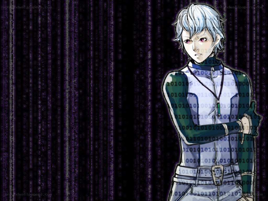 anime character in digital matrix