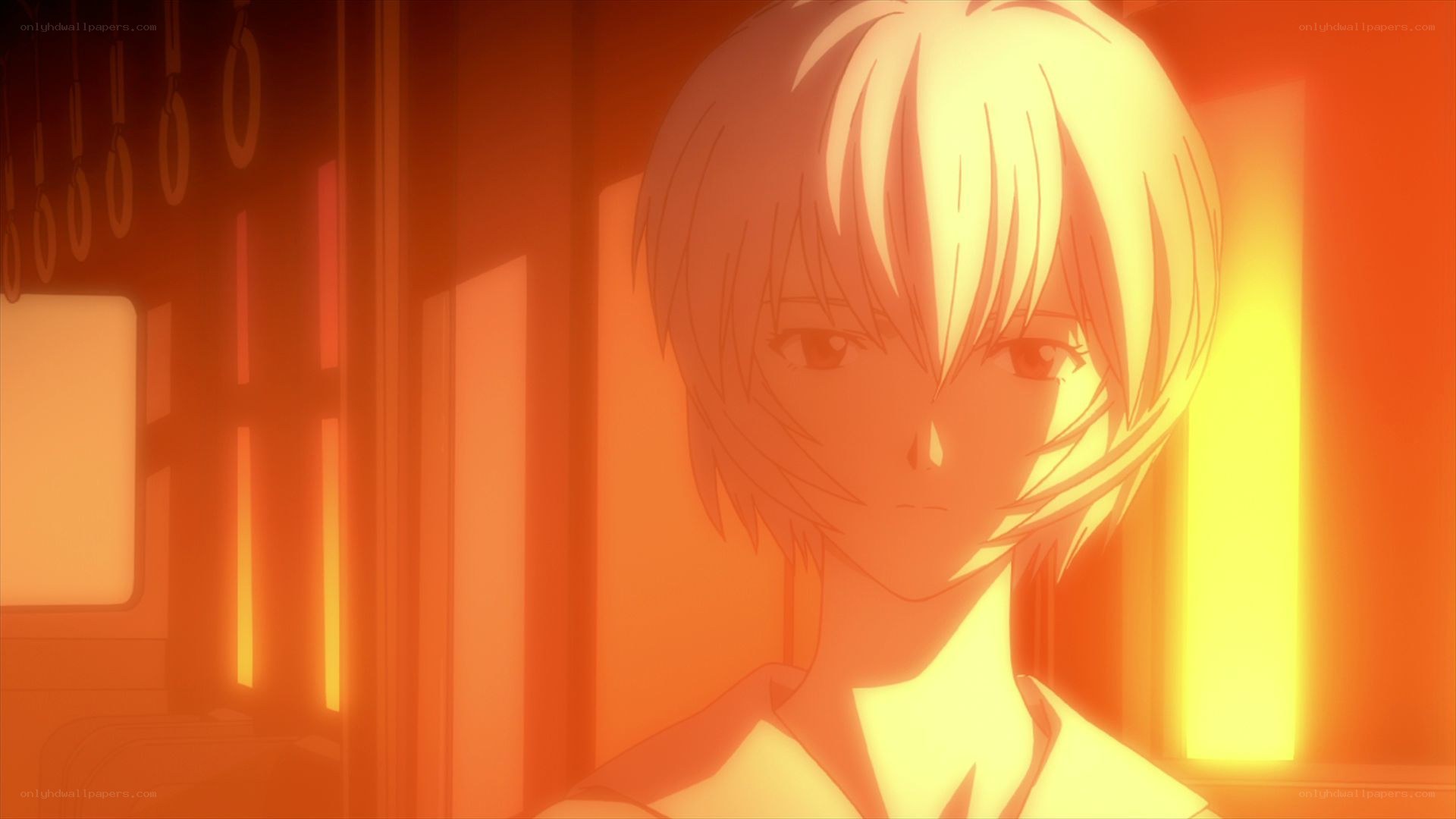 anime character in orange light