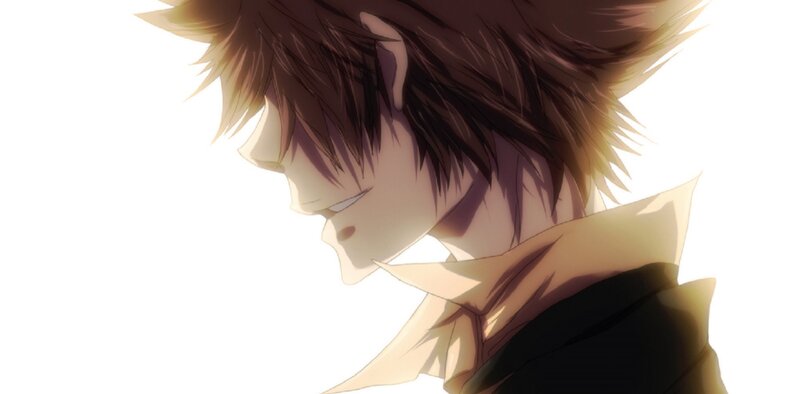 Anime Character in Profile — Brown, Dramatic, Sunset