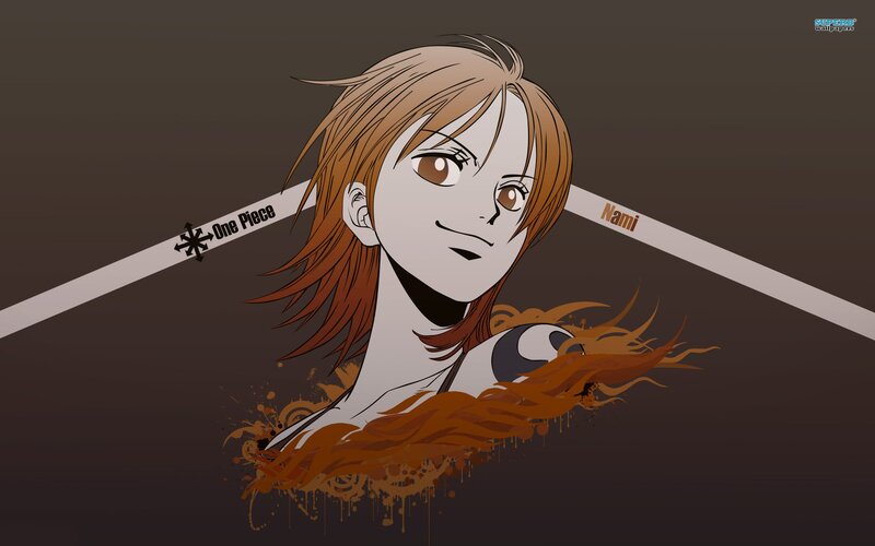Anime Character Nami — Brown