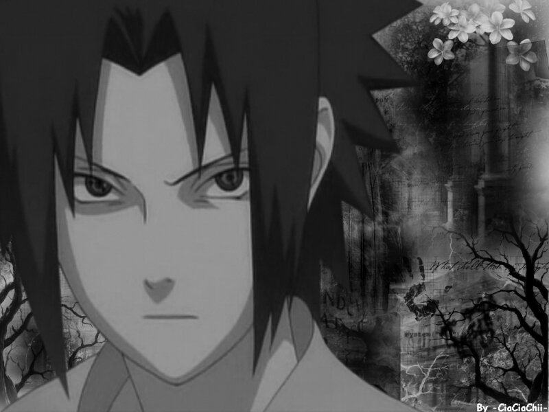 Anime Character Portrait — Black, Dramatic, Cherry Blossoms