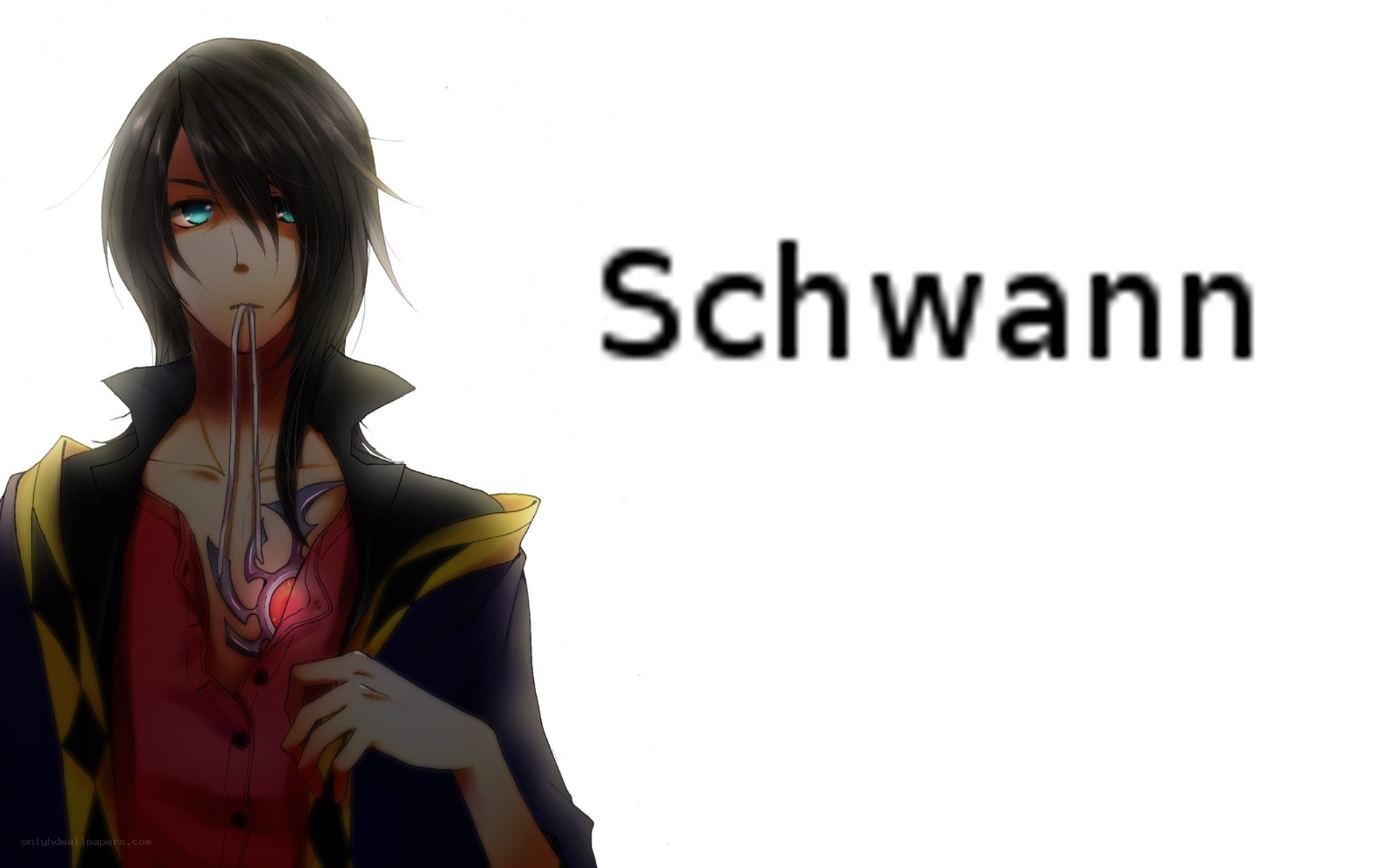 Anime character Schwann