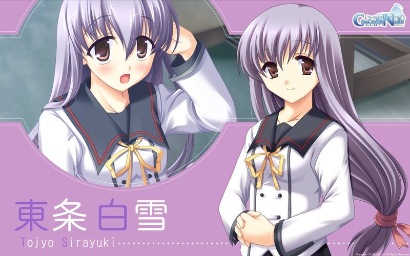 Anime character Tojyo Sirayuki