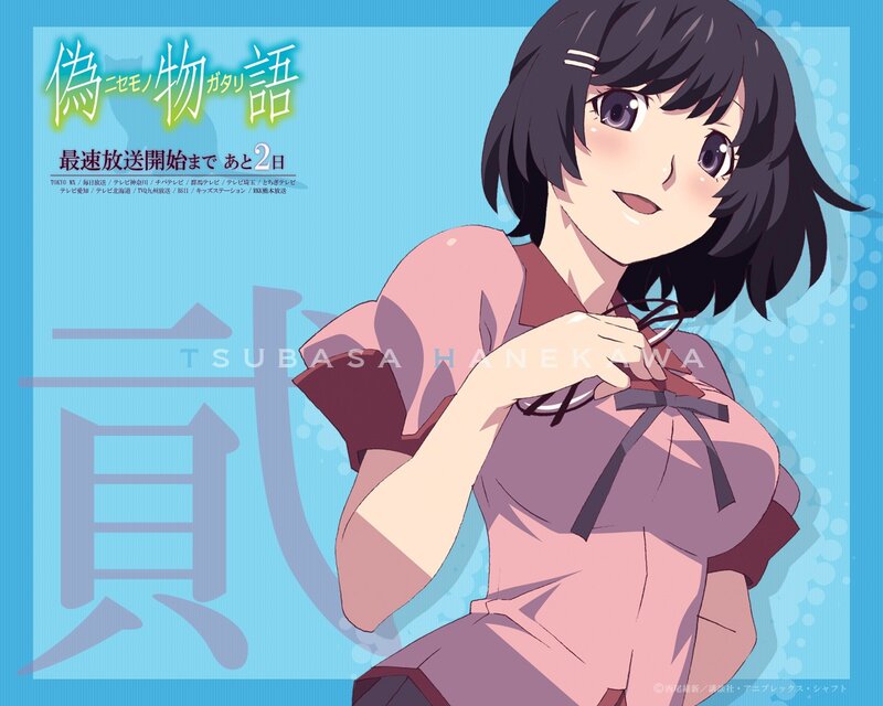 Anime character Tsubasa Hanekawa
