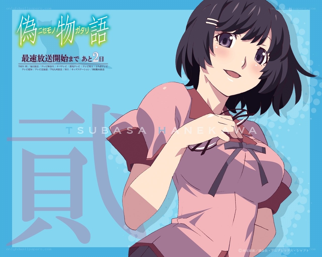 Anime character Tsubasa Hanekawa