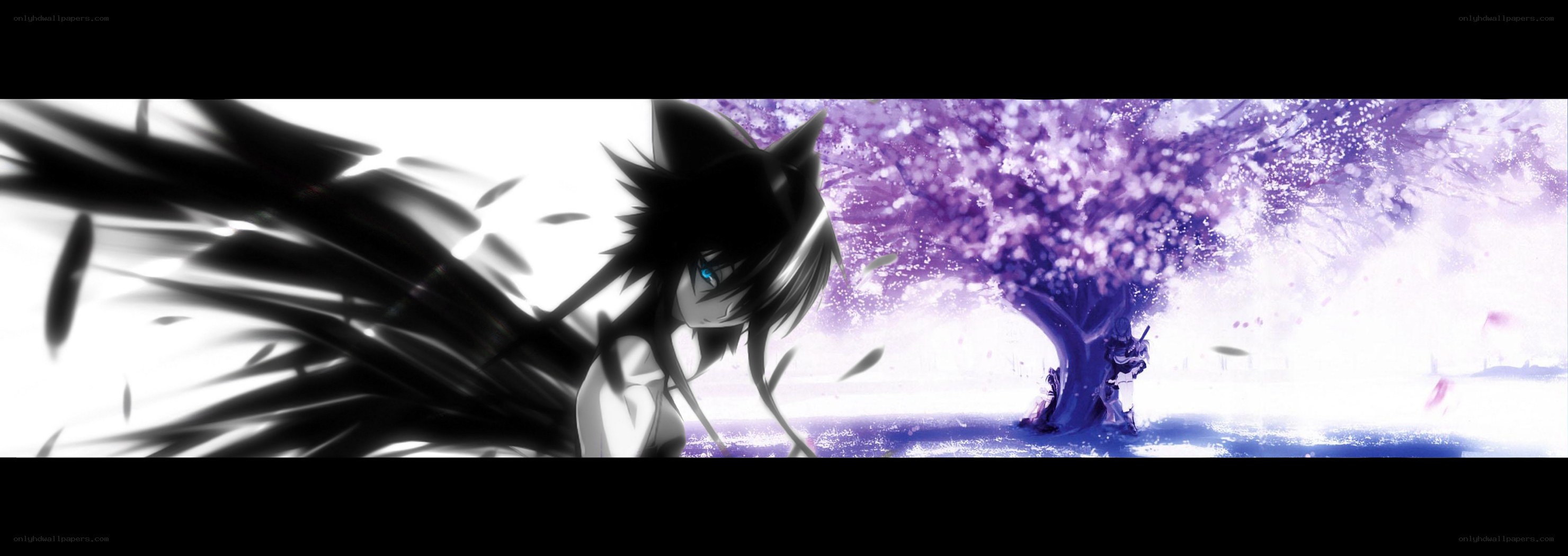 anime character under cherry blossom tree