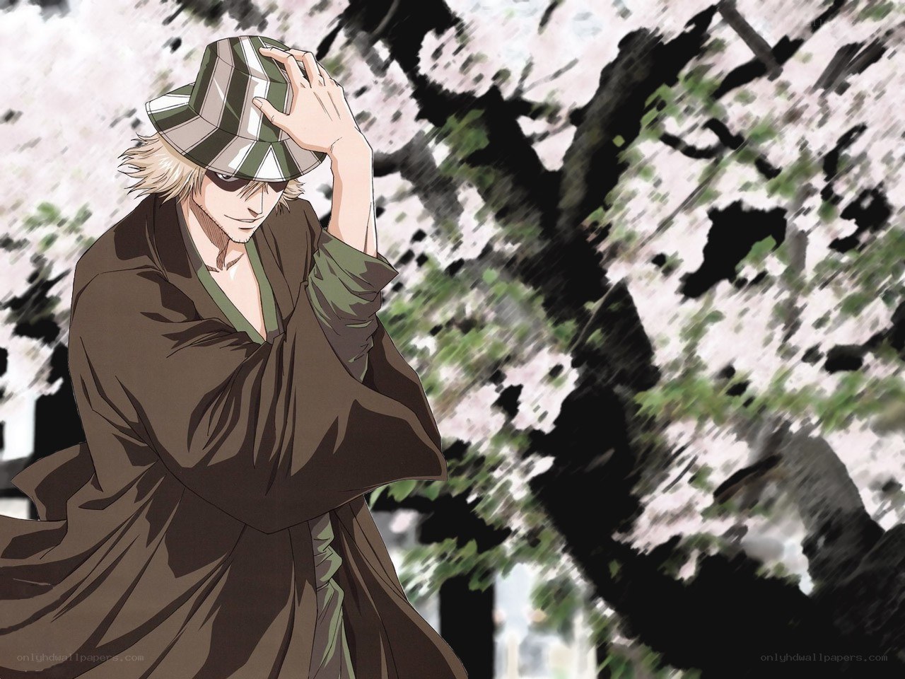 anime character under cherry blossoms
