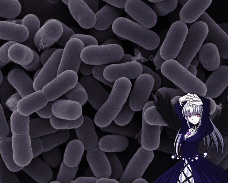 anime character with bacteria background