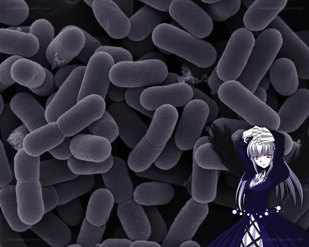 anime character with bacteria background