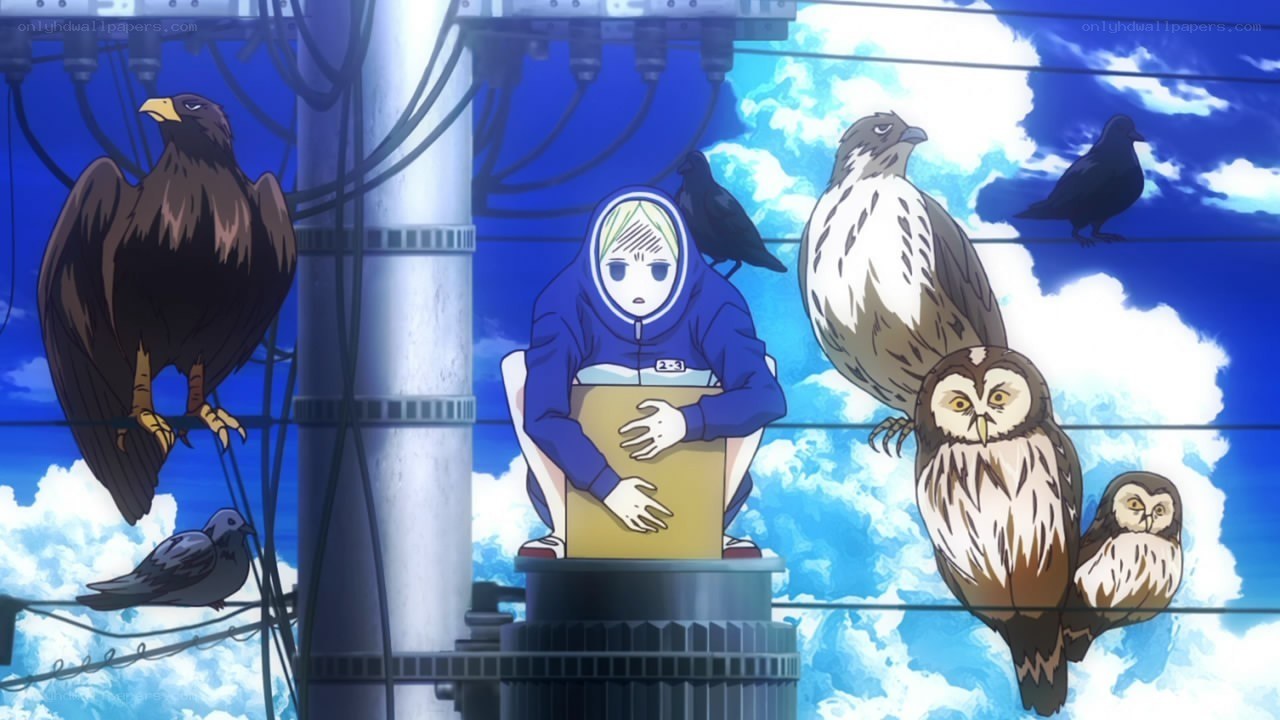 Anime character with birds